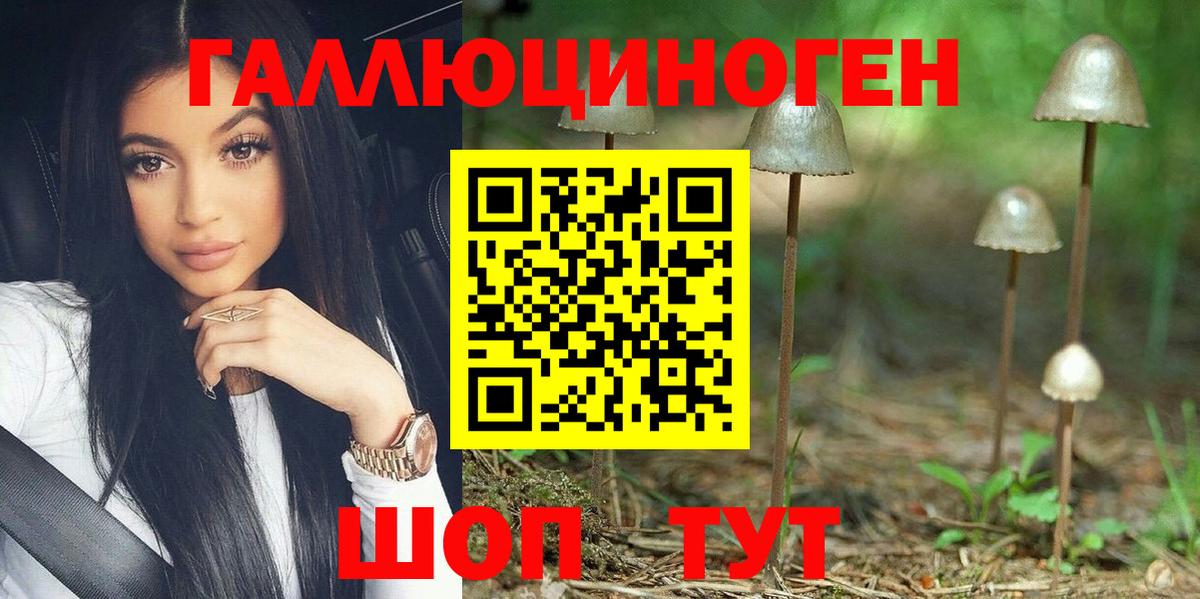 Большой Камень  Псилоцибиновые грибы MAGIC MUSHROOMS  Вход с VPN 
