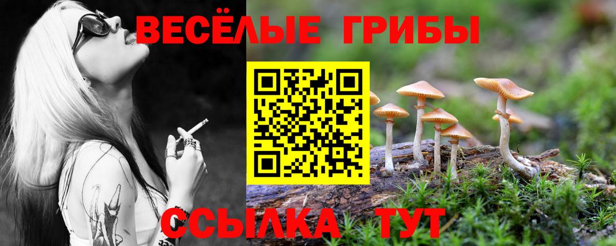Псилоцибиновые грибы MAGIC MUSHROOMS Большой Камень